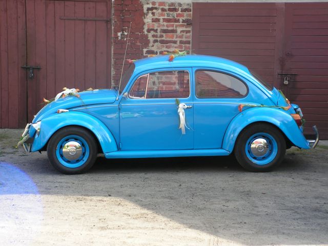 PICT0143.jpg