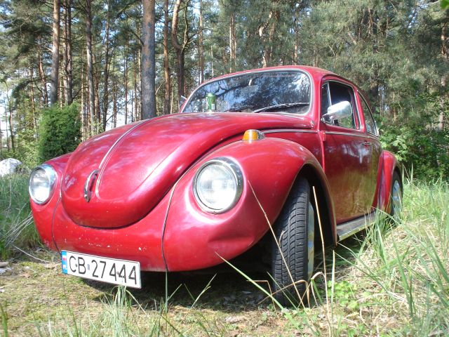 Garbuskowy uszestnik...