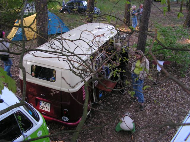 Widok z drzewa nr3