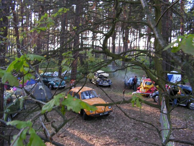 Widok z drzewa nr4