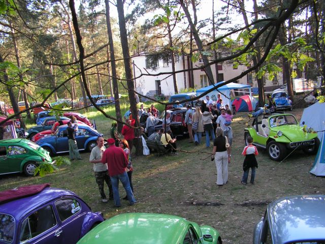 Widok z drzewa nr7
