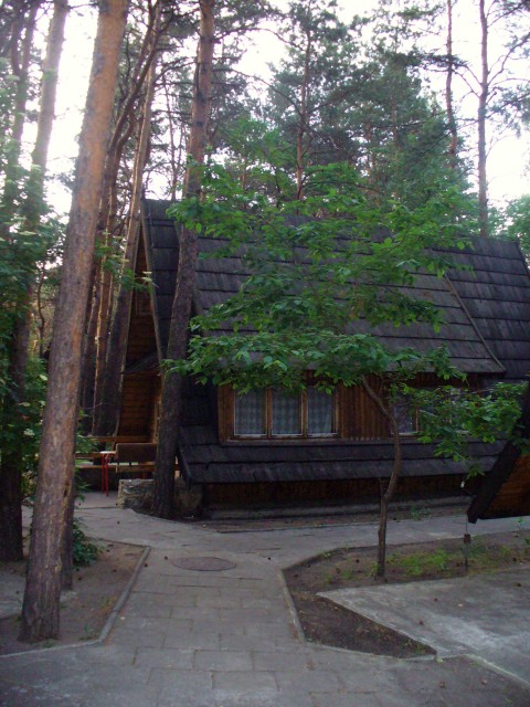 fot.Dominik