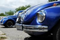 fot.Krzysiek Galon 201.jpg