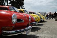 fot.Krzysiek Galon 210.jpg