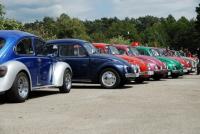 fot.Krzysiek Galon 220.jpg