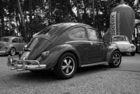 fot.Krzysiek Galon 229.jpg