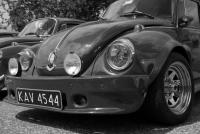 fot.Krzysiek Galon 230.jpg