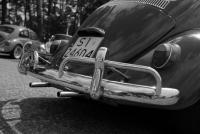 fot.Krzysiek Galon 232.jpg