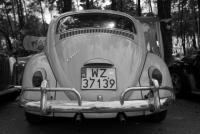 fot.Krzysiek Galon 239.jpg