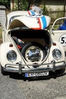 fot.Krzysiek Galon 270.jpg