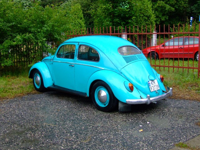 fot.Miniu 052.jpg