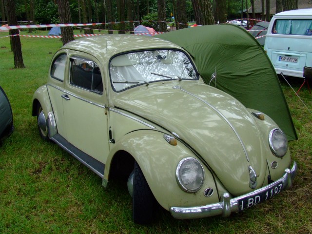 fot.Miniu 090.jpg