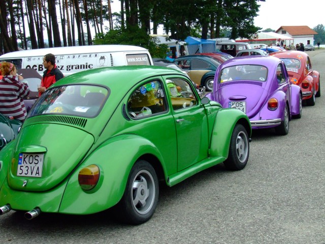 fot.Miniu 105.jpg