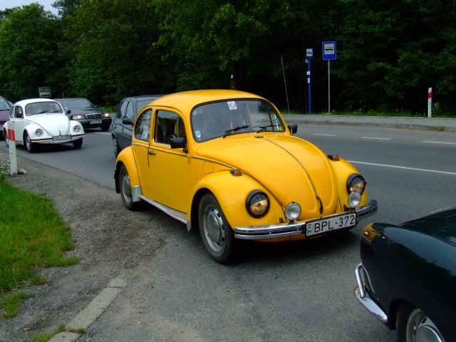 fot.Miniu 141.jpg