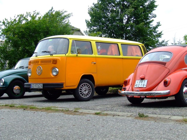 fot.Miniu 146.jpg