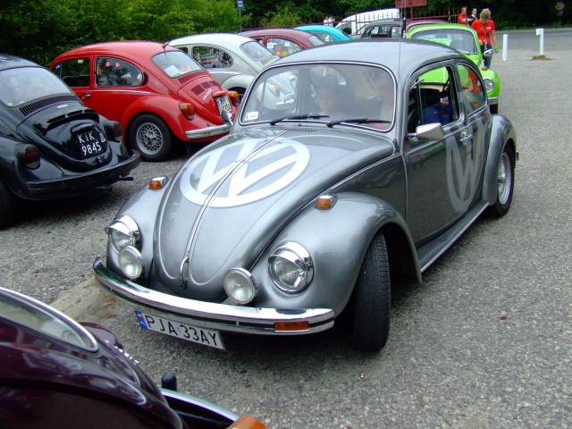 fot.Miniu 151.jpg