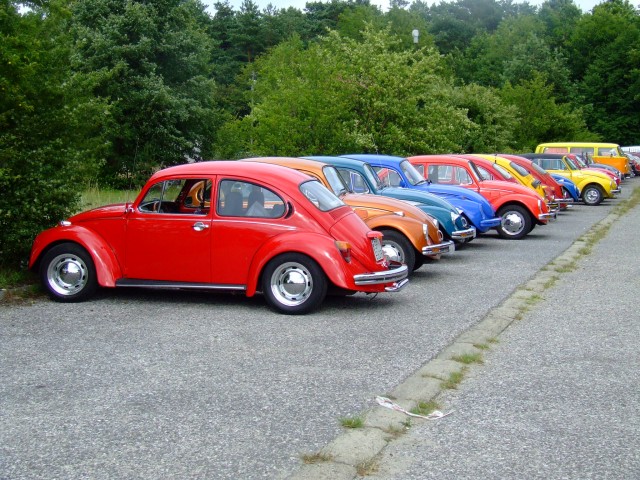 fot.Miniu 166.jpg