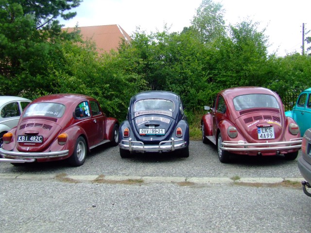 fot.Miniu 184.jpg