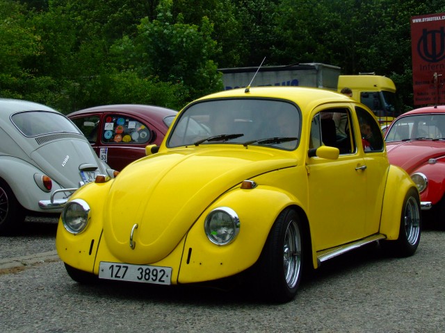 fot.Miniu 198.jpg