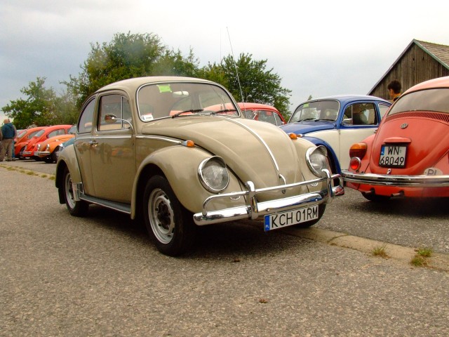 fot.Miniu 217.jpg