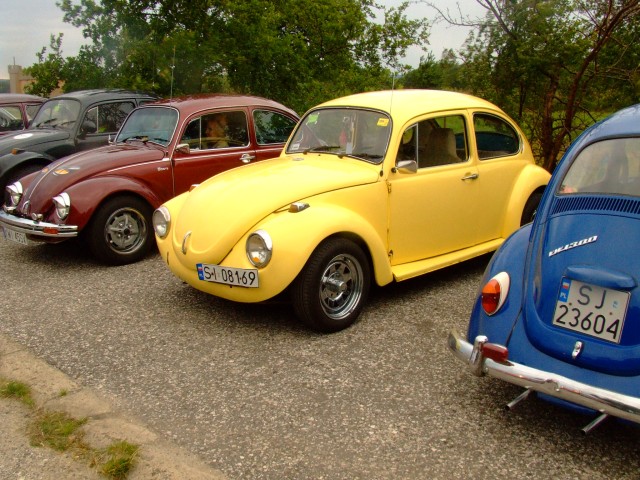fot.Miniu 218.jpg