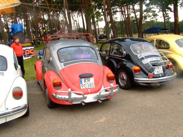 fot.Miniu 221.jpg