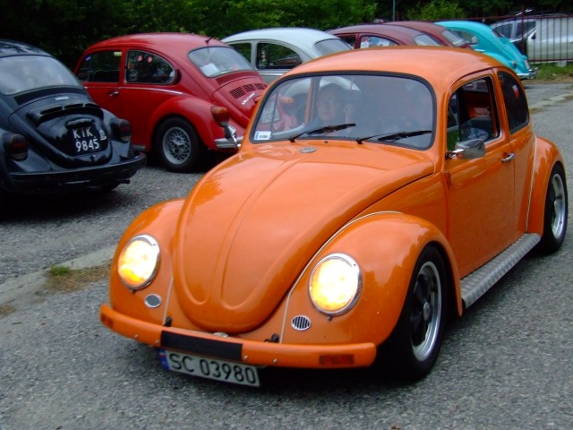 fot.Miniu 227.jpg