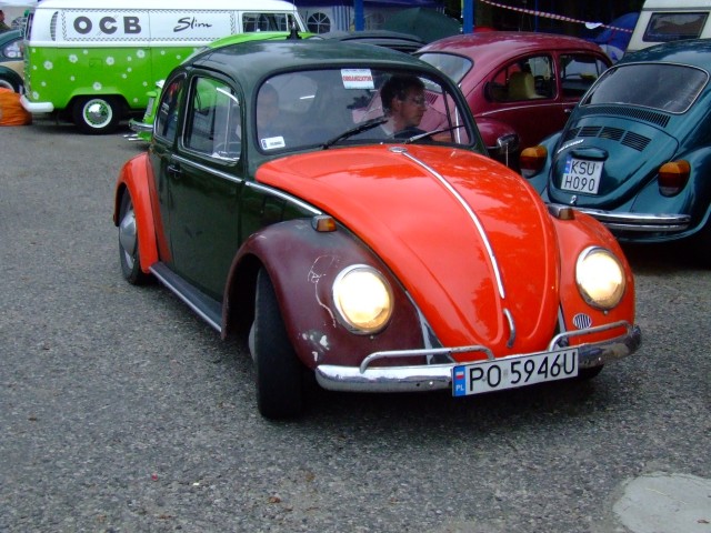fot.Miniu 235.jpg
