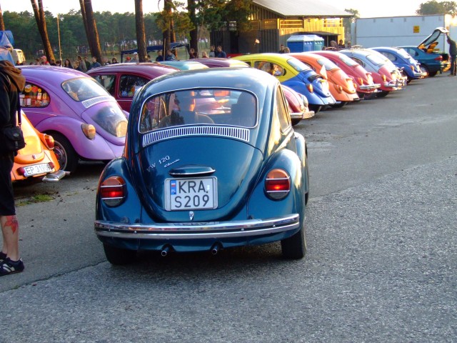 fot.Miniu 243.jpg