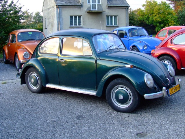 fot.Miniu 245.jpg