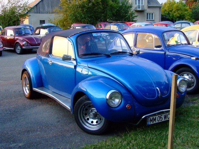 fot.Miniu 246.jpg