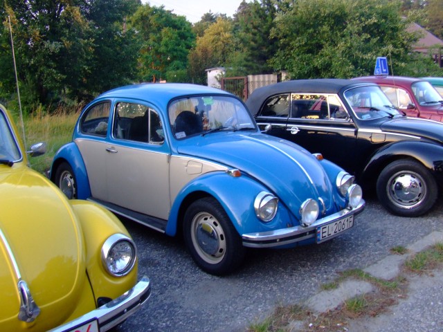 fot.Miniu 252.jpg
