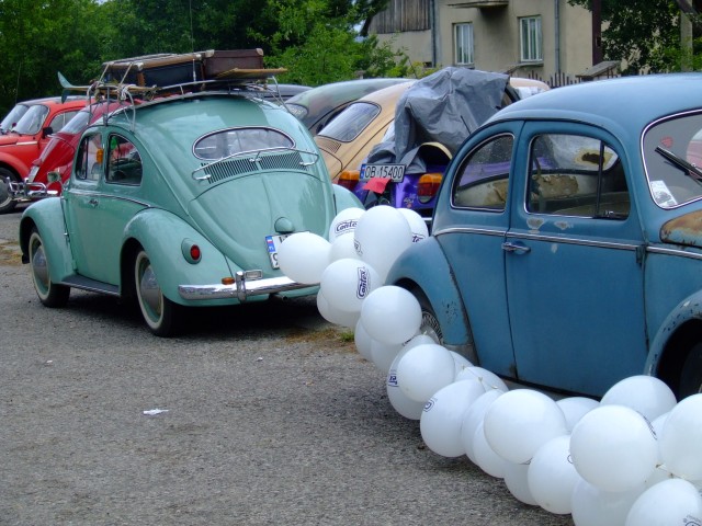 fot.Miniu 276.jpg