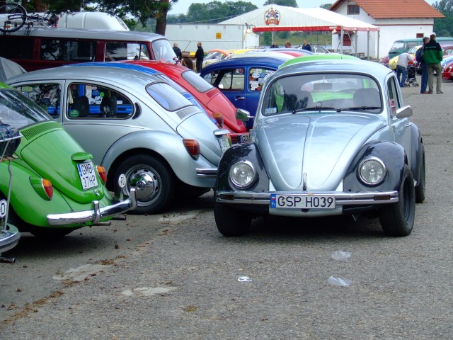 fot.Miniu 277.jpg