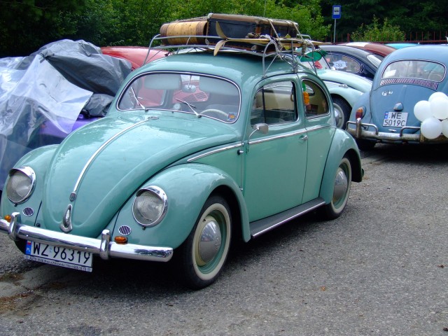 fot.Miniu 278.jpg