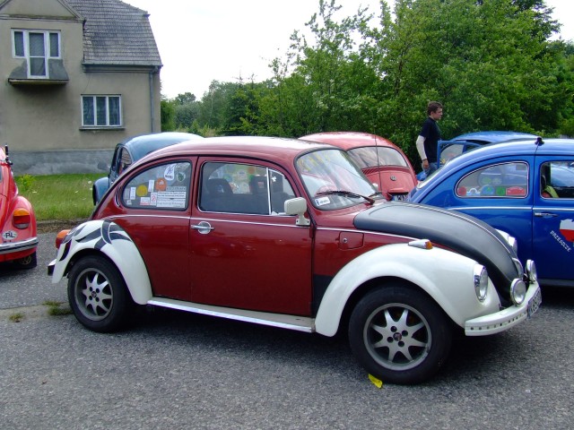 fot.Miniu 282.jpg