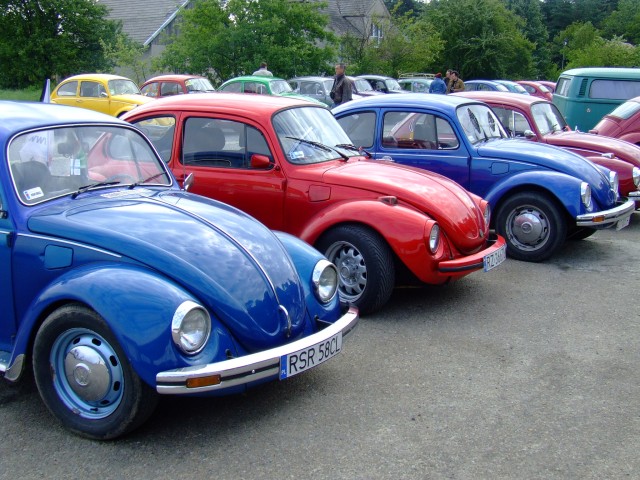 fot.Miniu 288.jpg