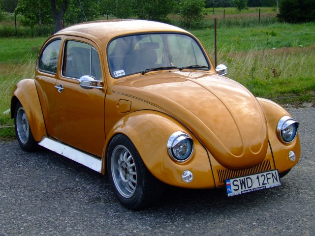 fot.Miniu 289.jpg