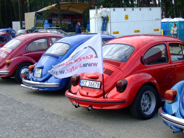 fot.Miniu 290.jpg