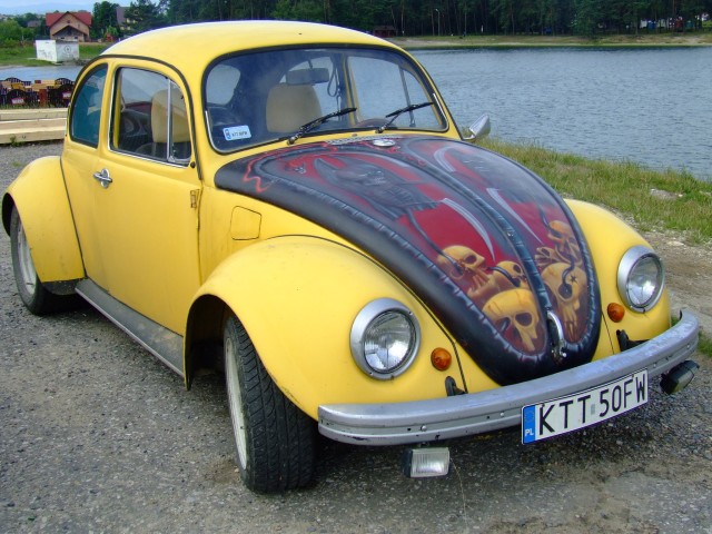 fot.Miniu 294.jpg