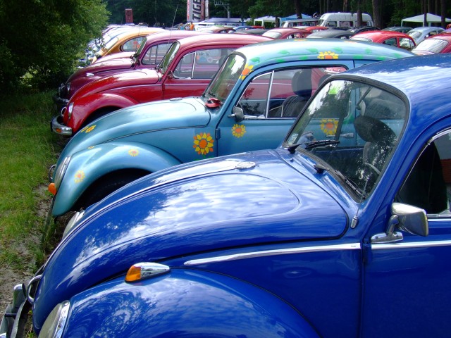 fot.Miniu 295.jpg