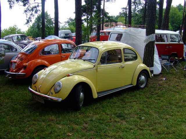 fot.Miniu 299.jpg