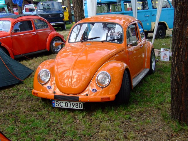 fot.Miniu 302.jpg