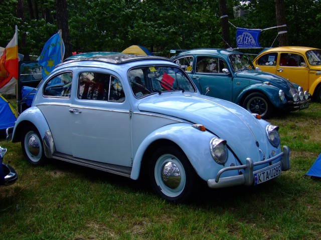 fot.Miniu 303.jpg