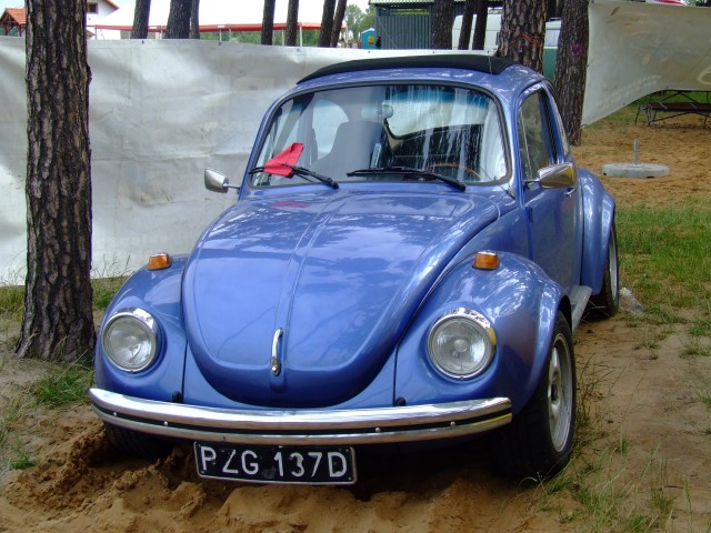 fot.Miniu 307.jpg