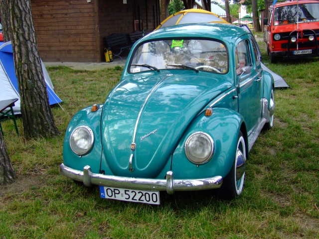 fot.Miniu 309.jpg