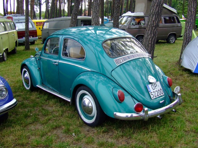 fot.Miniu 311.jpg