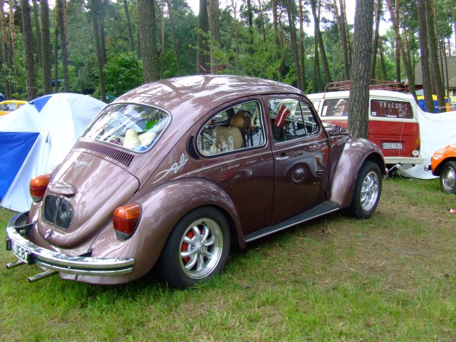 fot.Miniu 313.jpg