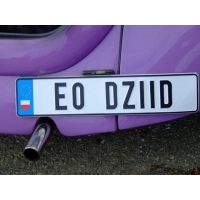 fot.Miniu 314.jpg