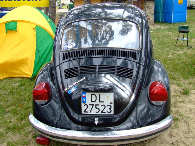 fot.Miniu 321.jpg